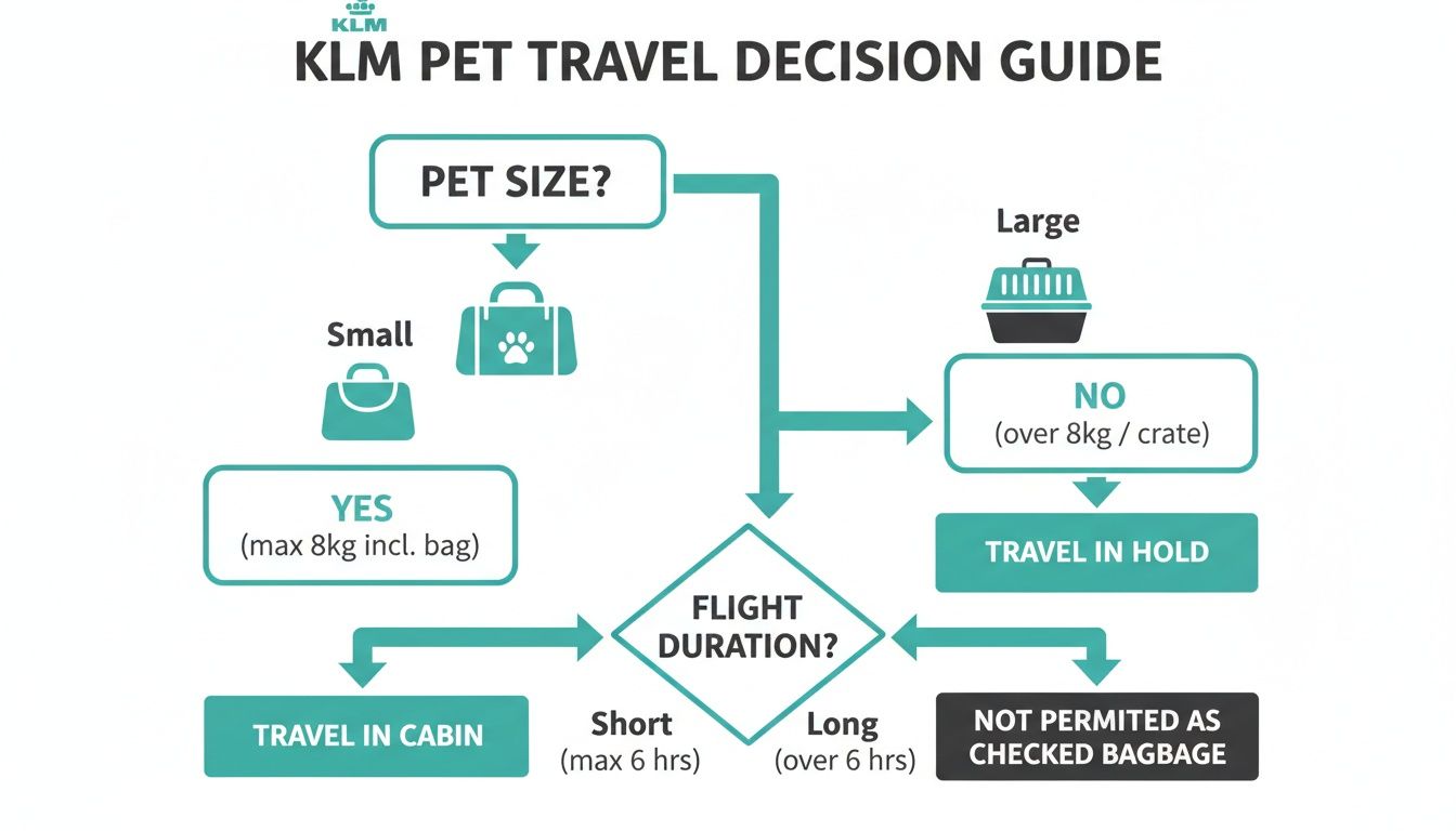 KLM pet travel decision guide flowchart detailing policies based on pet size and flight duration.