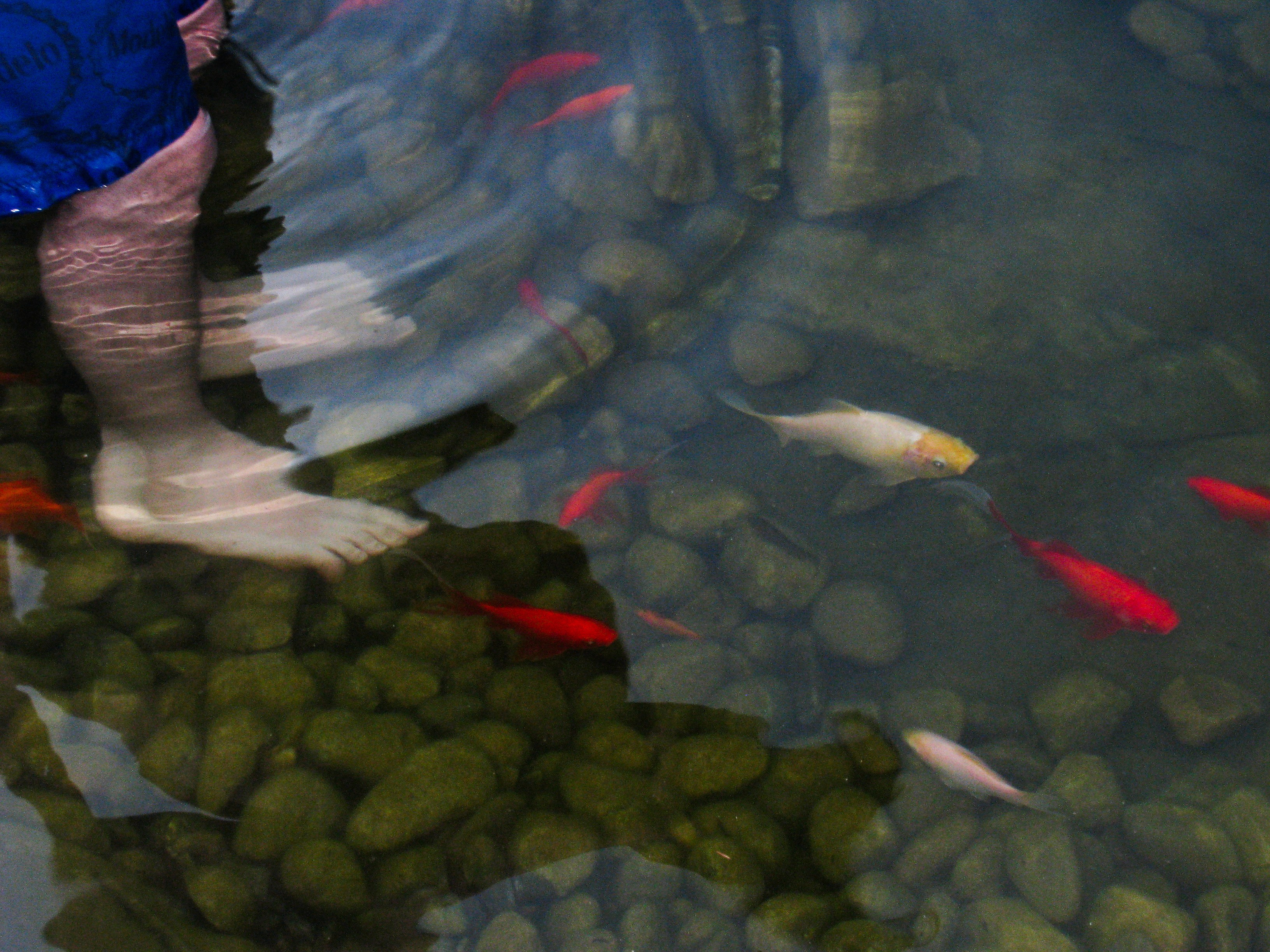 BROTHERLY LOVE. NIKON Z6. SPRING 2024. PHILADELPHIA, PA.