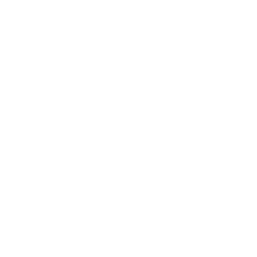 Heads & Tails Logo