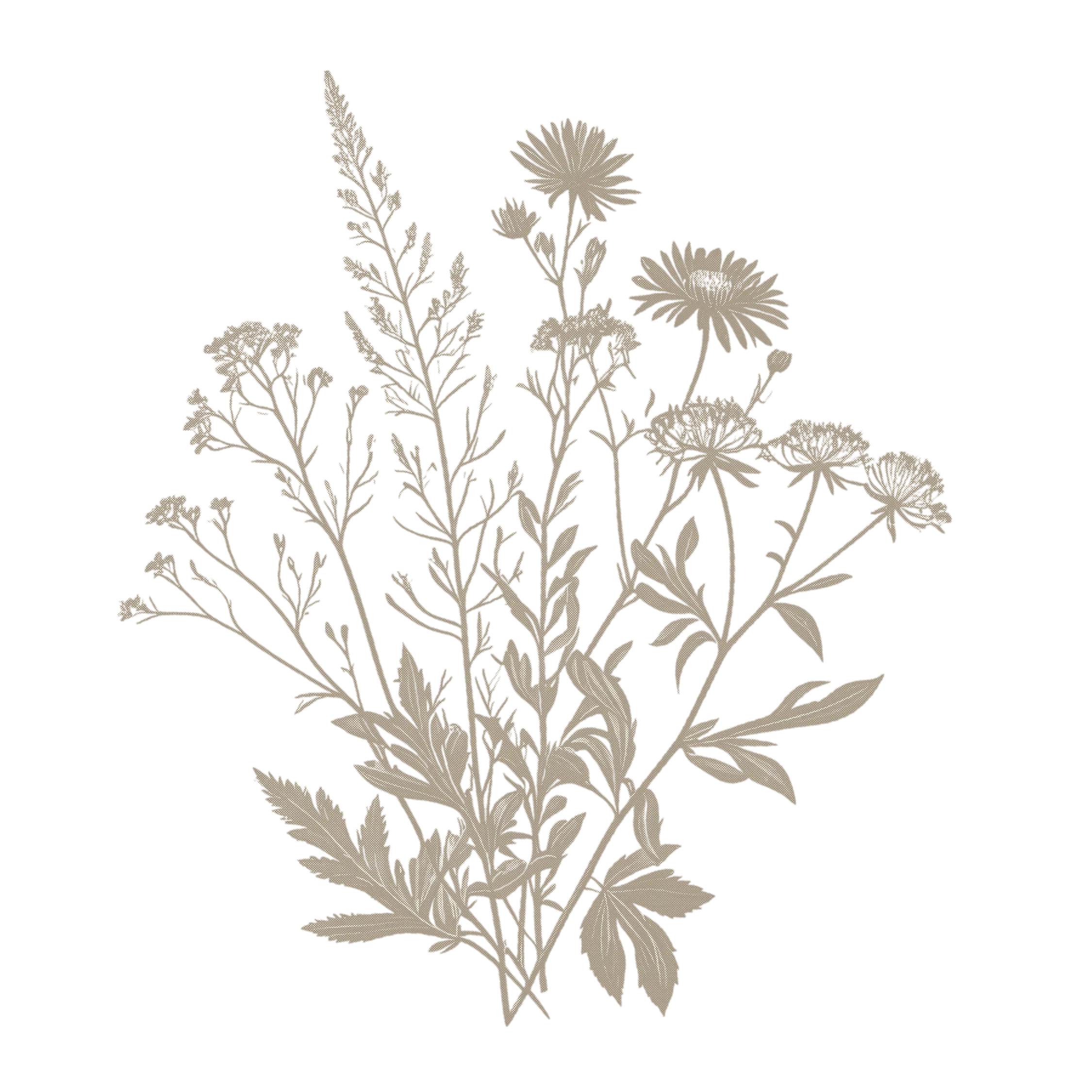 Abstract design featuring intricate, organic shapes in a muted beige color.