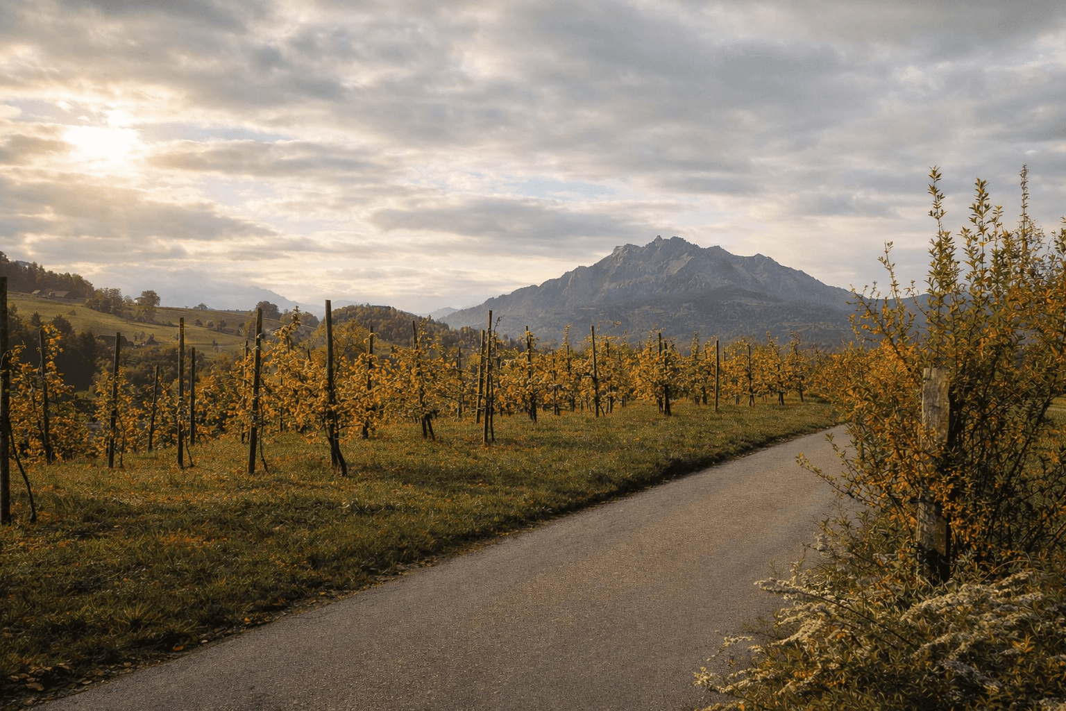Ausblick auf unsere Felder und den Pilatus im Herbst
