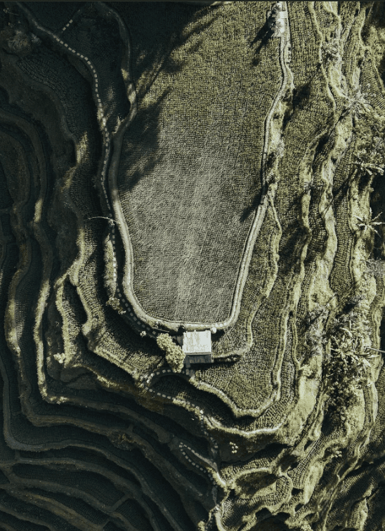Two people working at desks in a bright, plant-filled office.