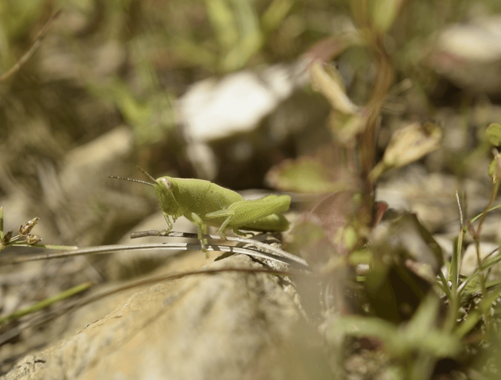 Example work of ui ux design