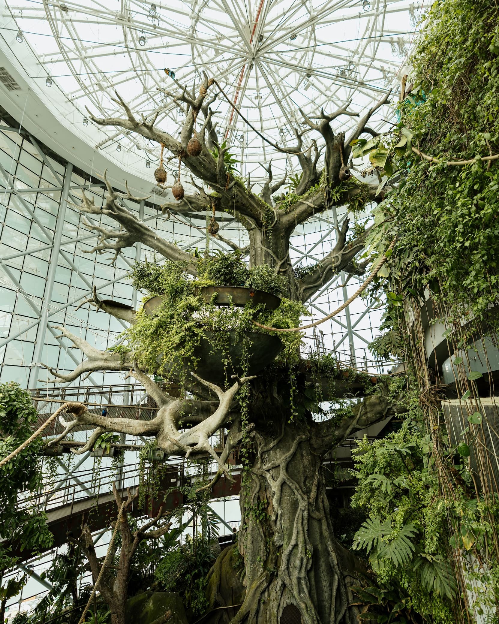 A huge man-made tree inside The Green Planet, surrounded by vines, greenery, and walkways, during things to do in Dubai with family.