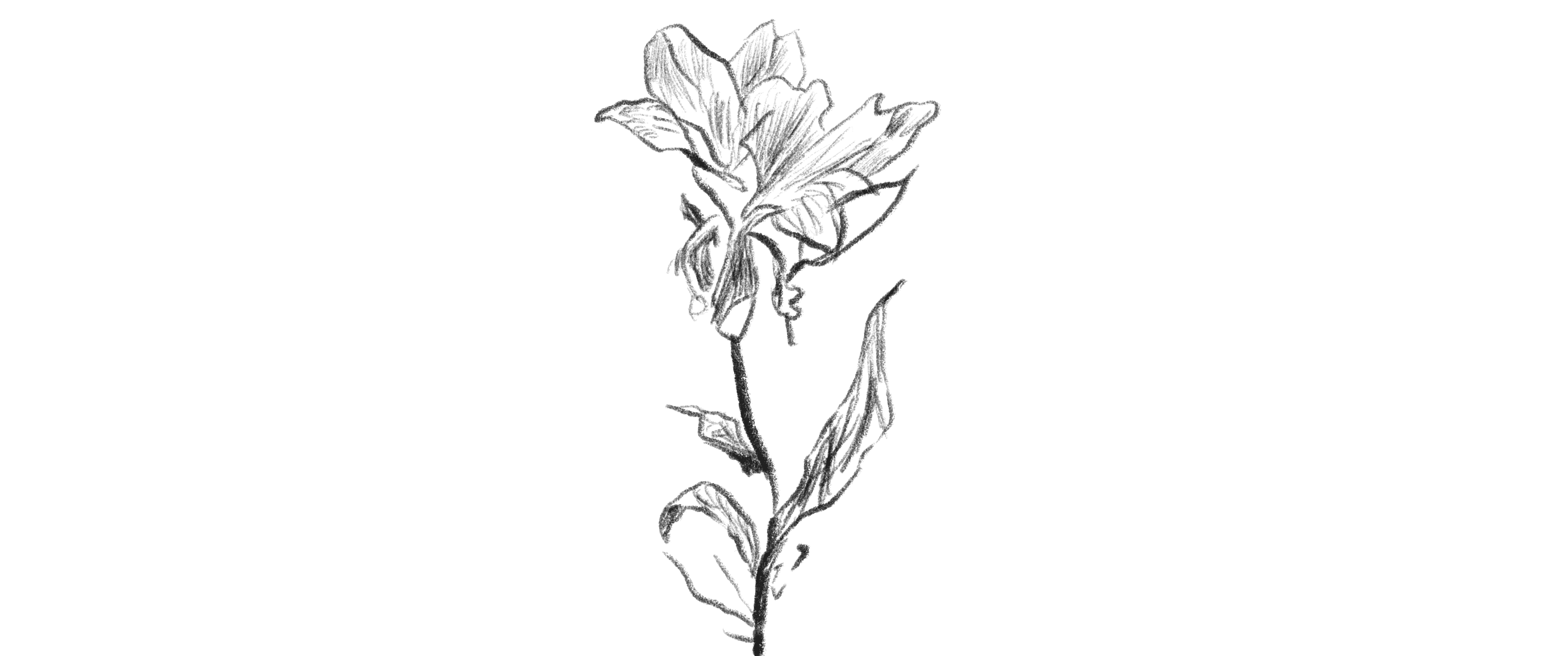 Interest image
