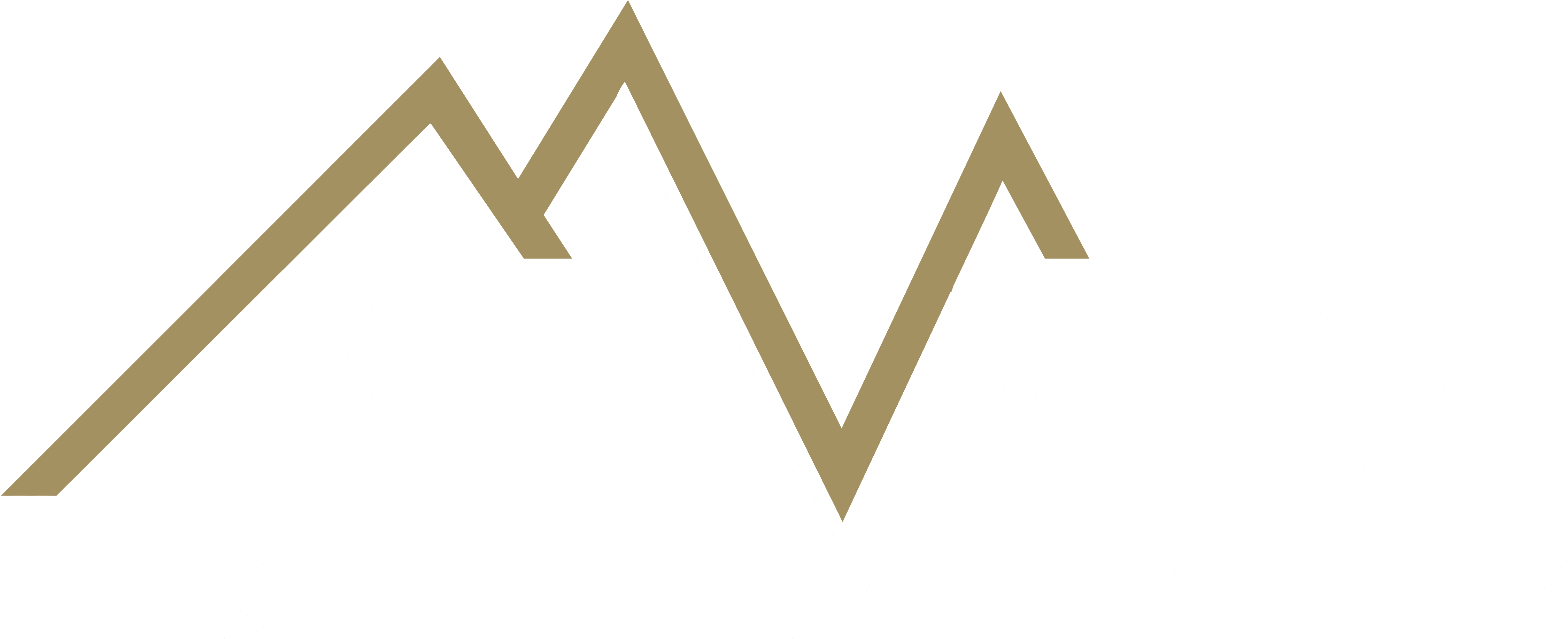 Nevada Gold Mines