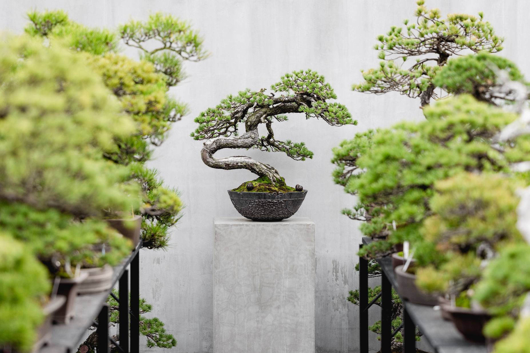 Authenticity is the most overused word in hospitality | Oasi