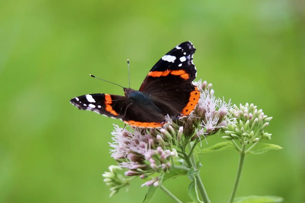 Dev Toolkit Gets Major Patch — technology banner