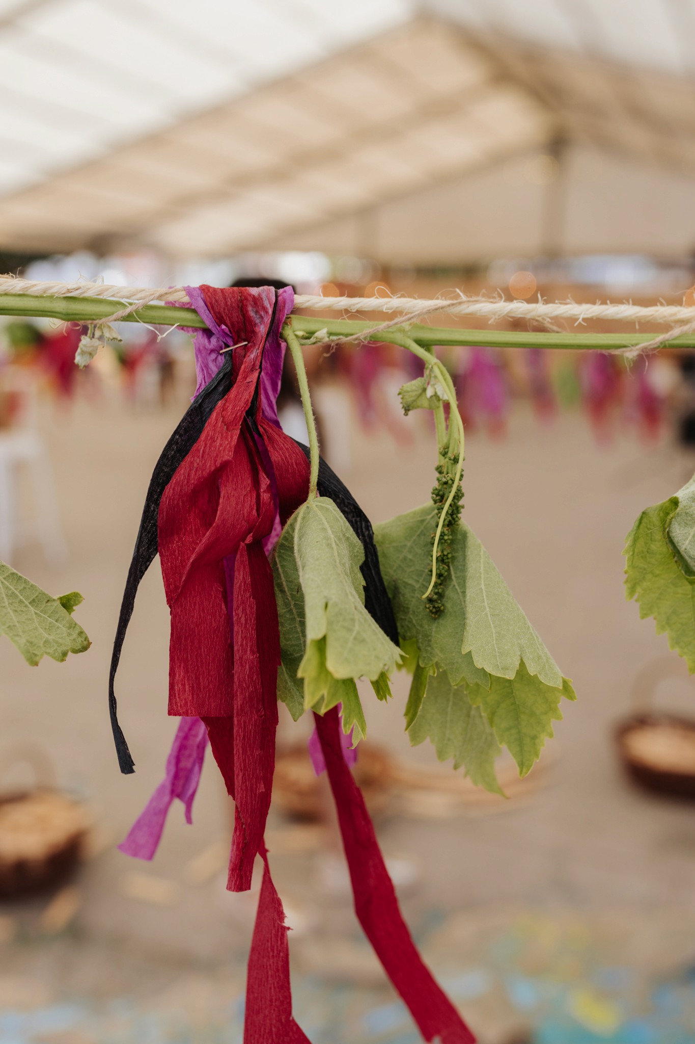 Raizames | Festival cultural | Sesión fotografía Lorena Grandío