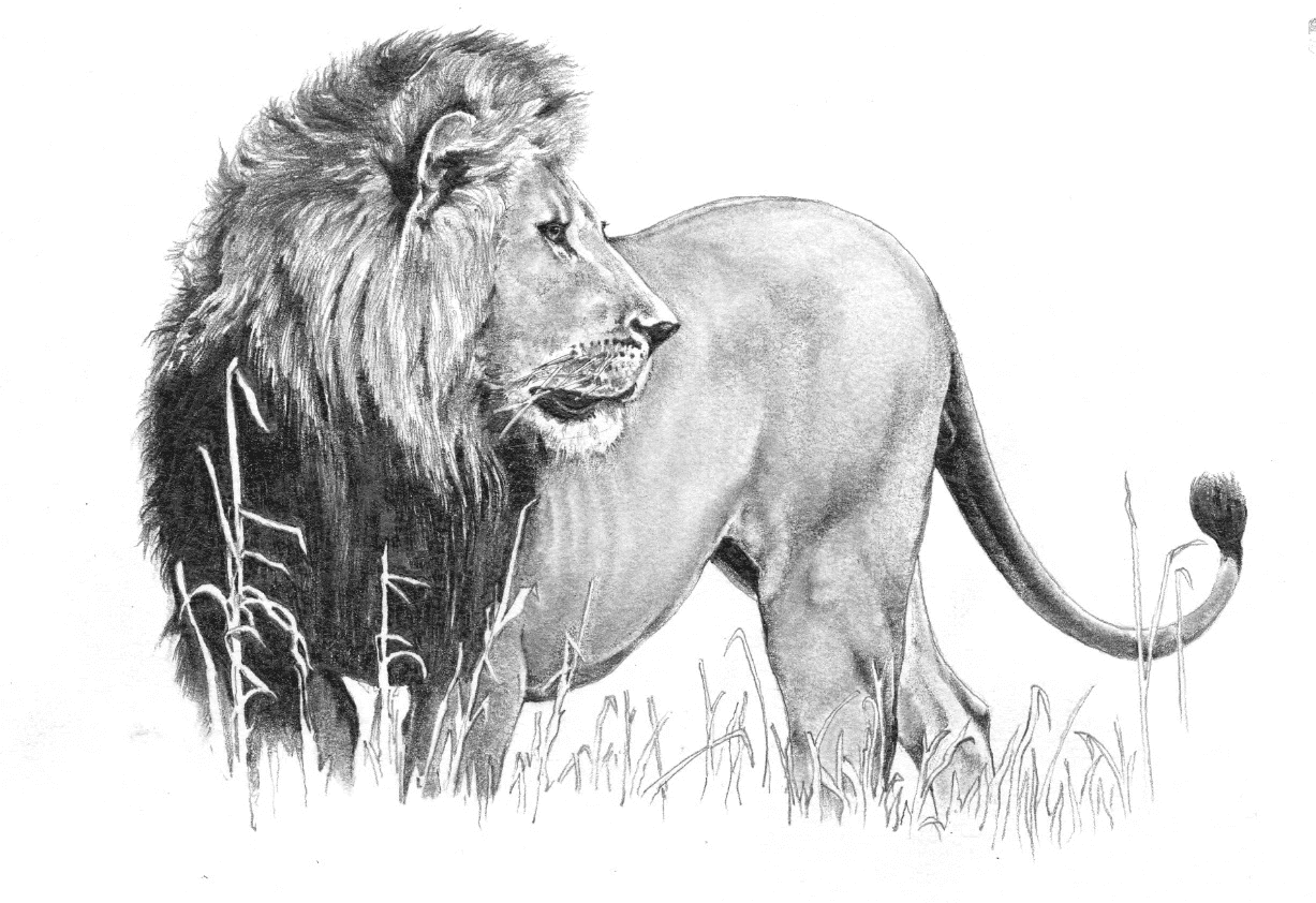 Cyril Amarchand Mangaldas