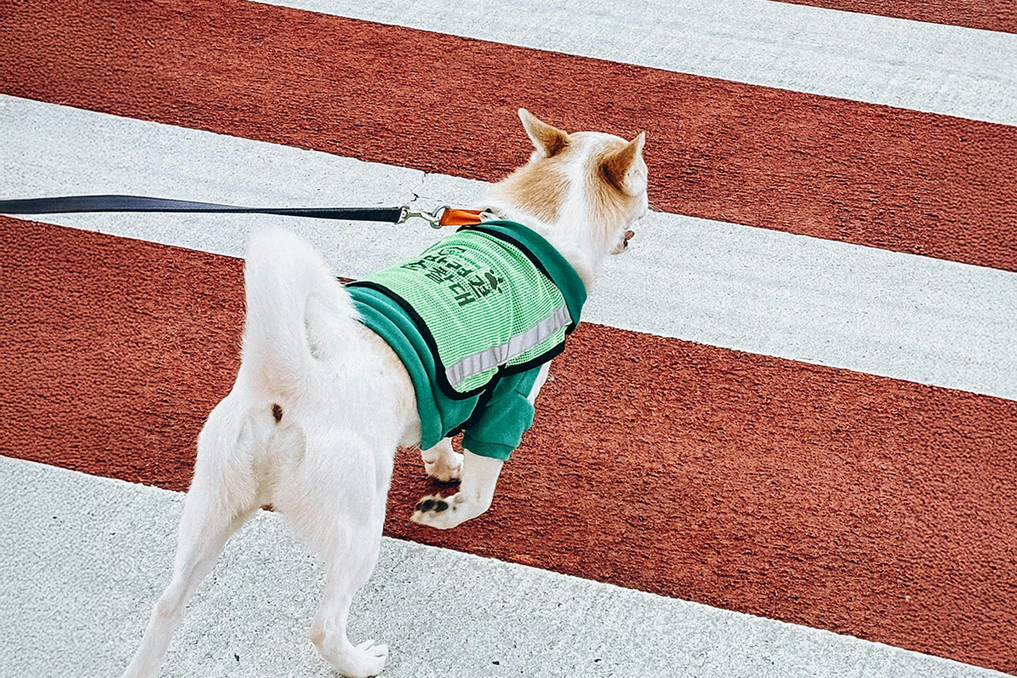 Lead generation website design, building websites that convert visitors into leads