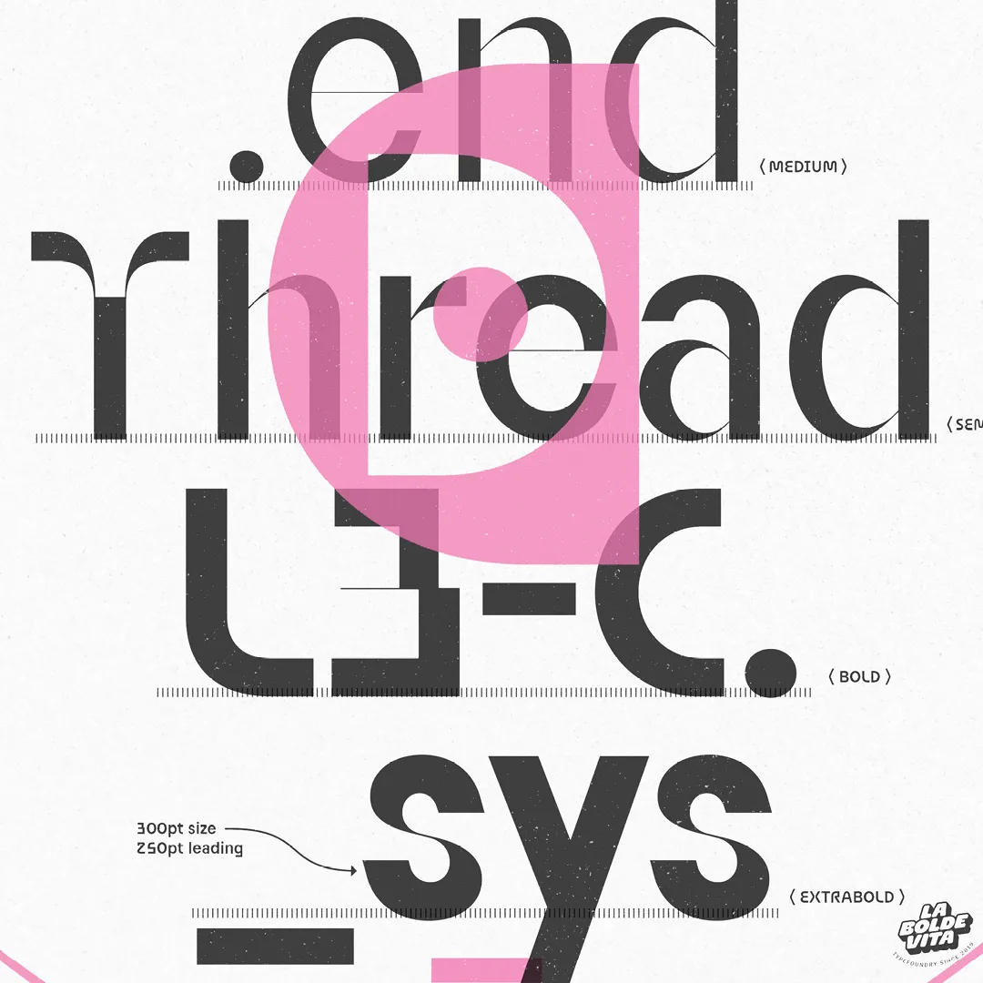 big sample words showcasing the display styles of Reversa