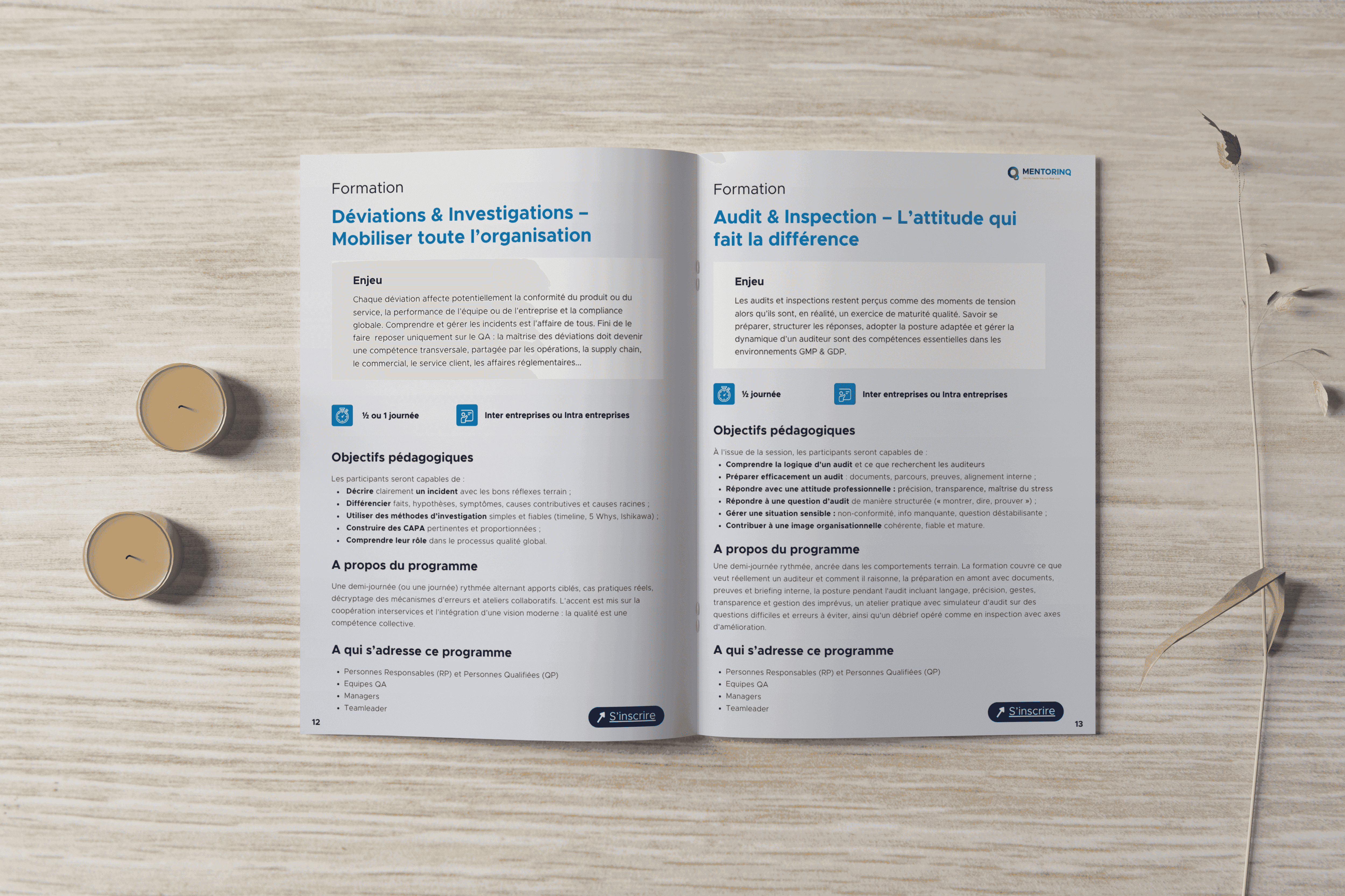 Mockup programme de formation mentorinq