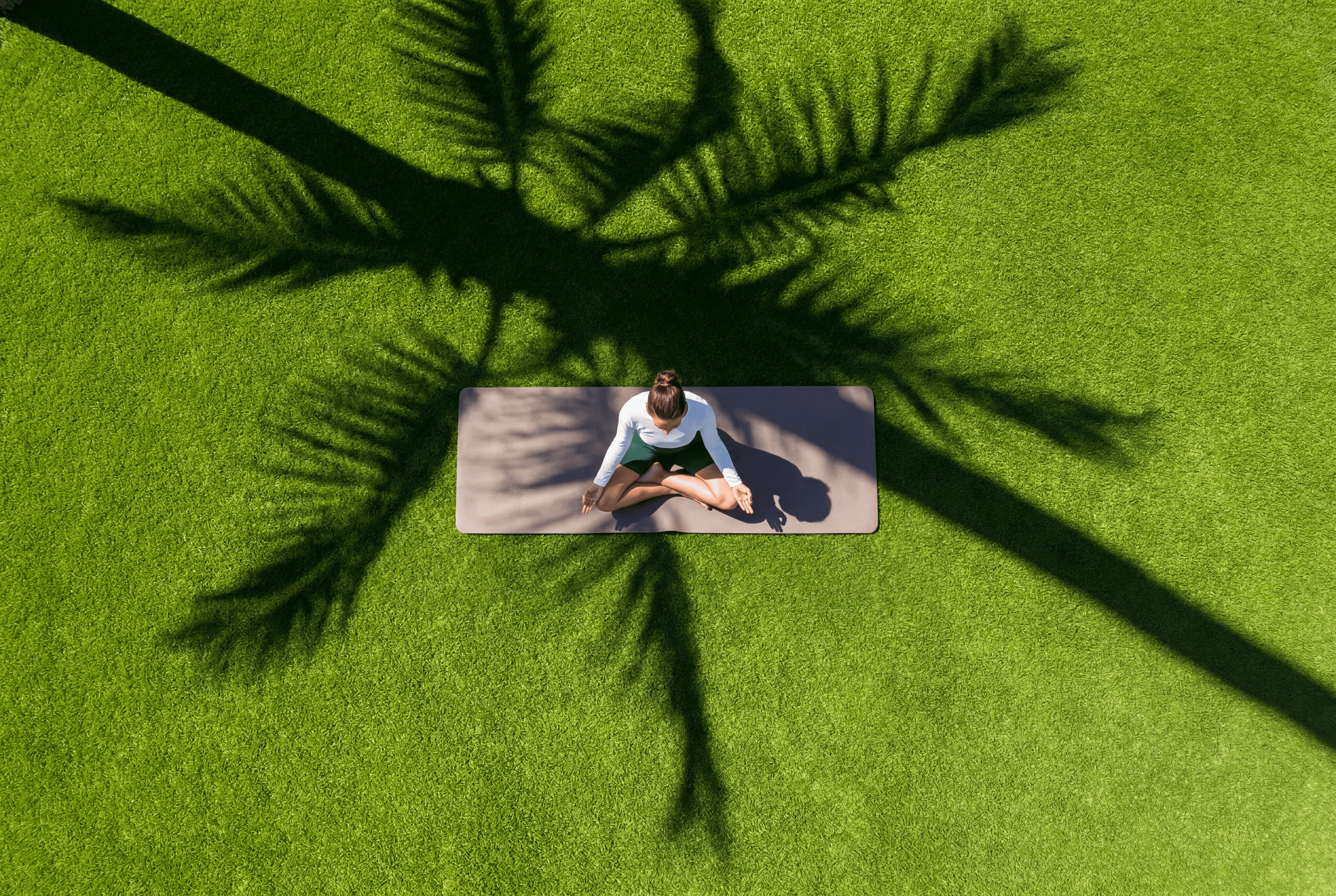 Stories Image 1