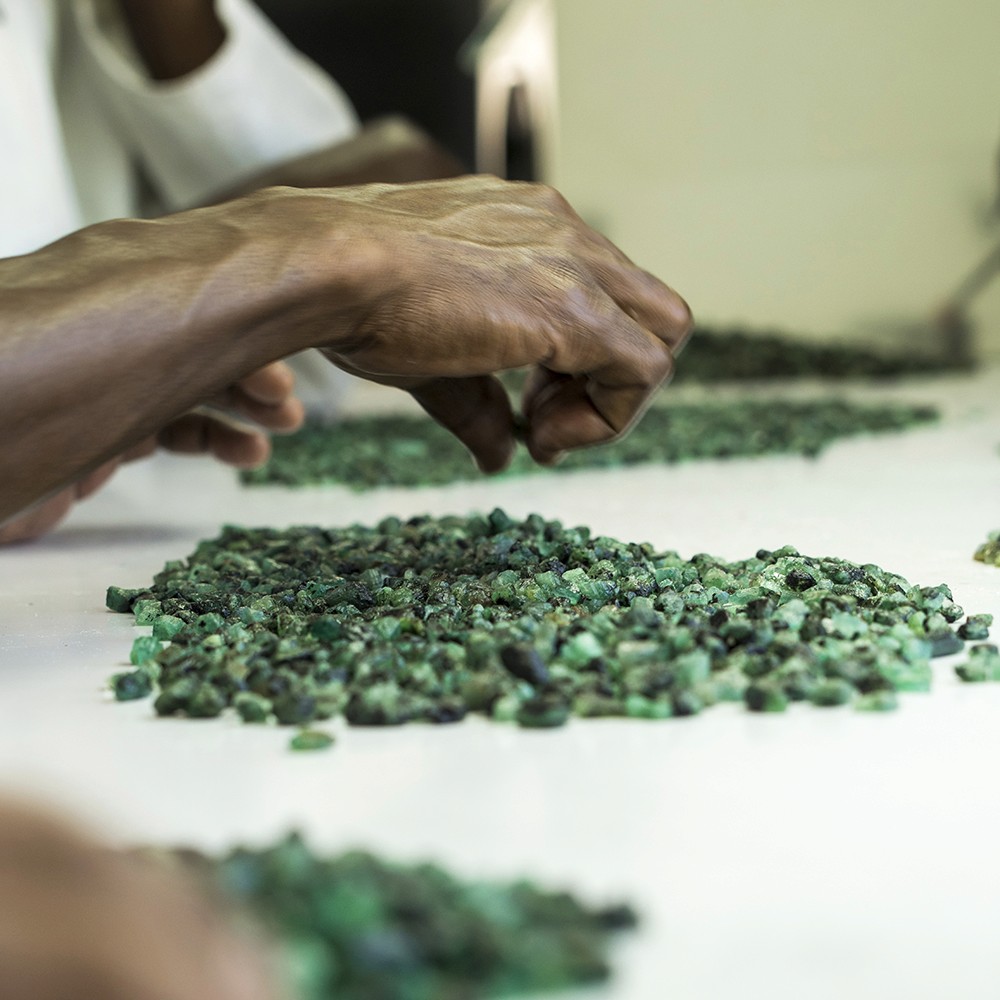 Hands sorting raw emeralds on a white surface.
