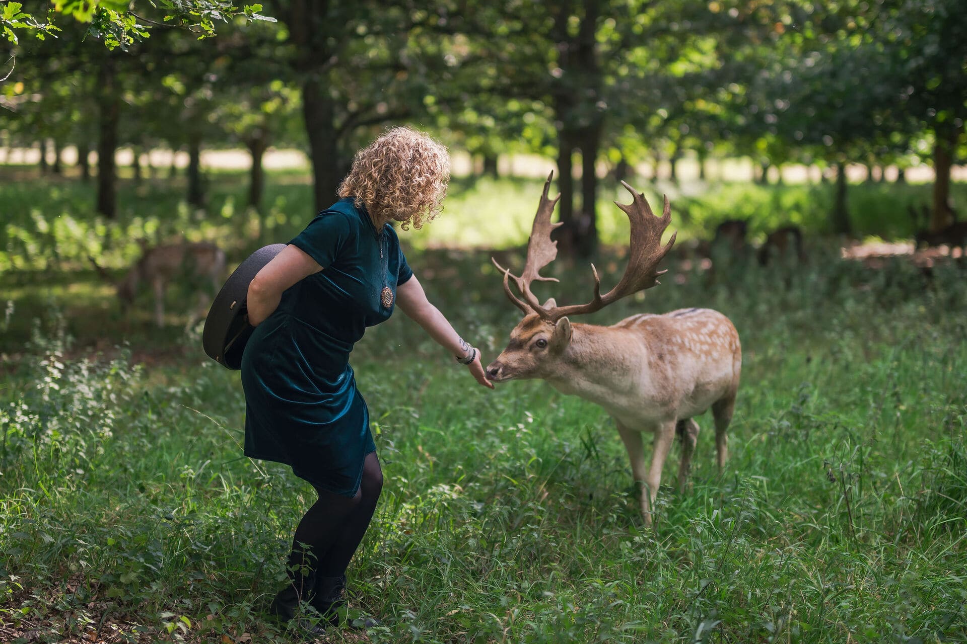 Maryrose petting deer