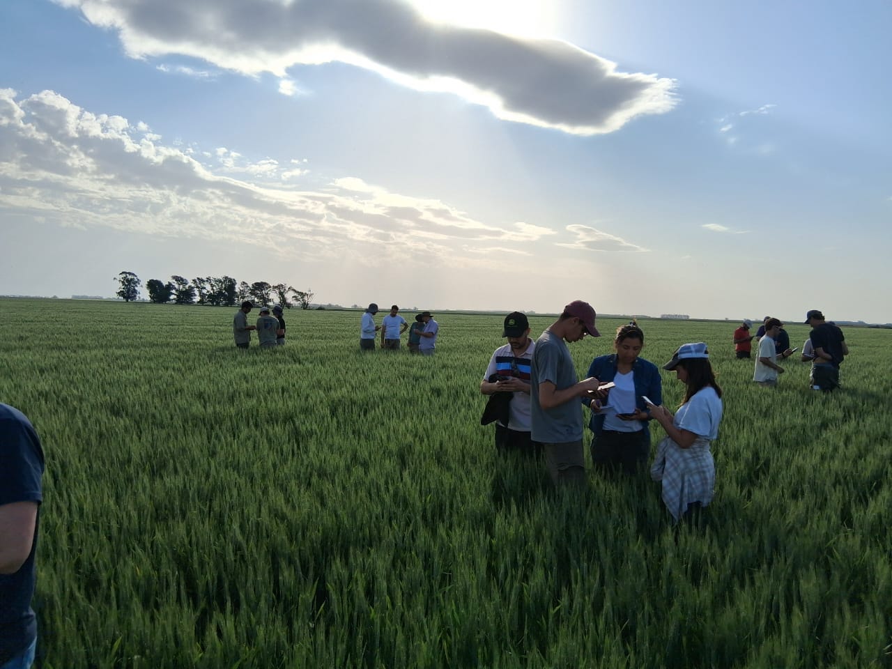 Two people examining plants in a greenhouse