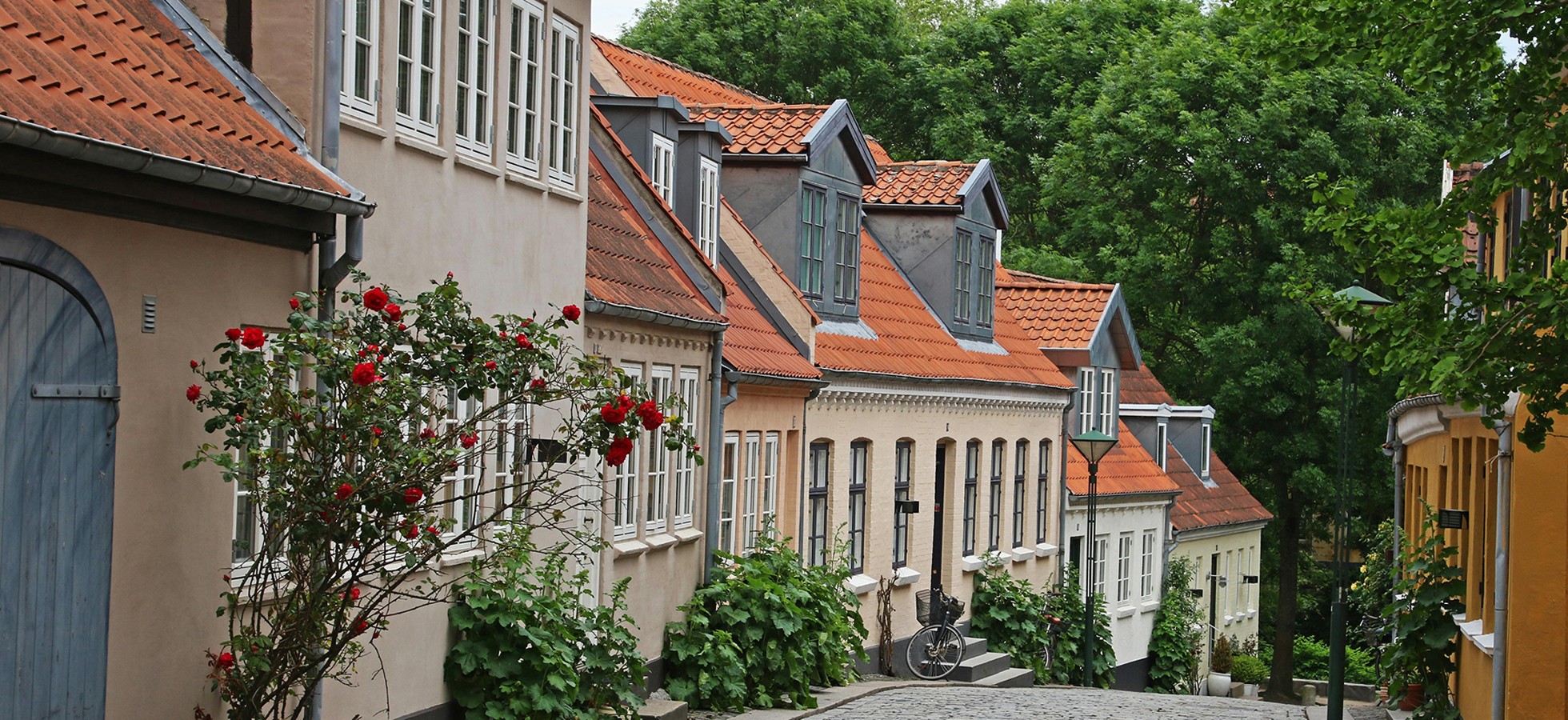 Project Detail Image