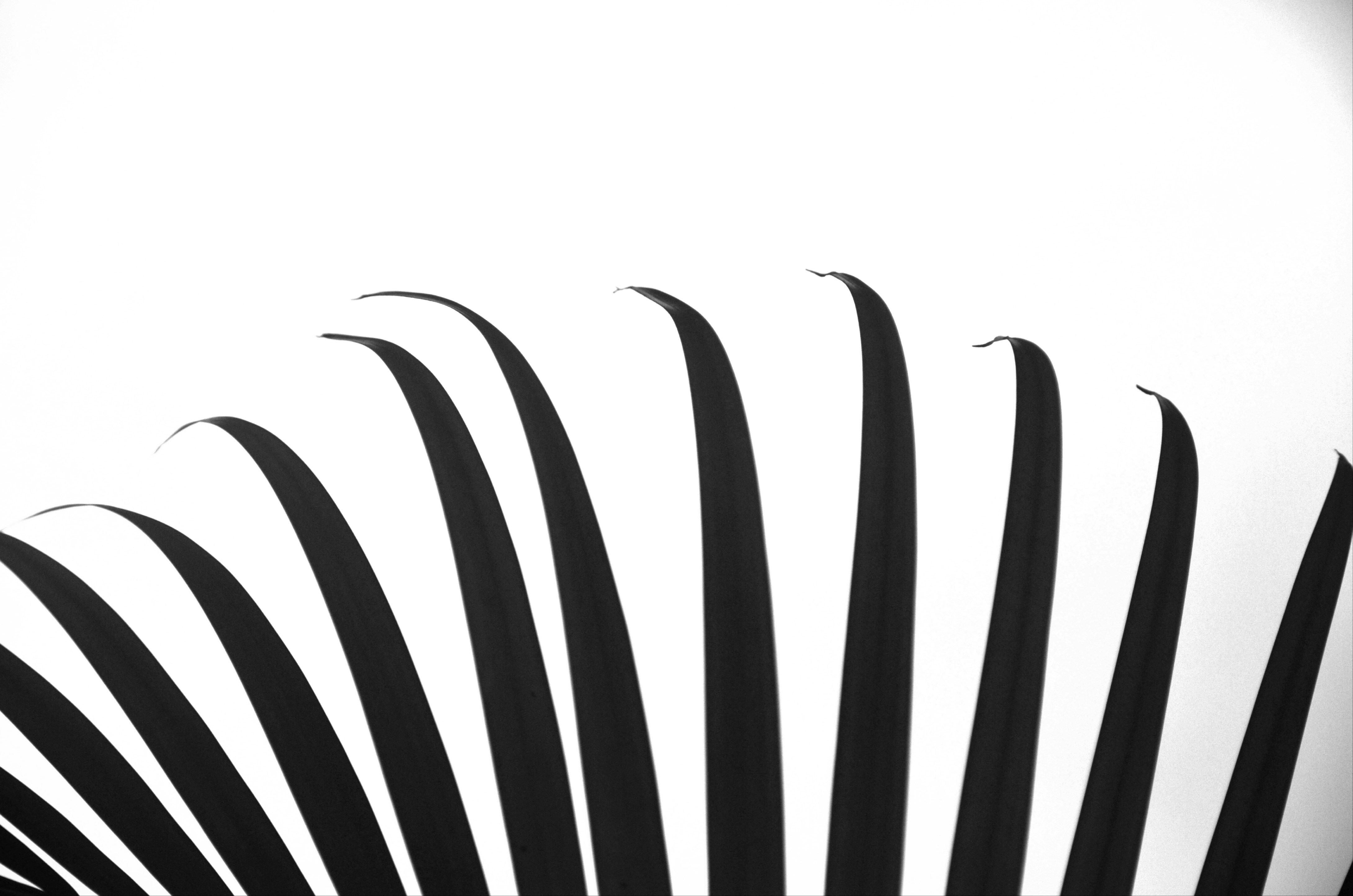 Portrait of a young man on a blue background