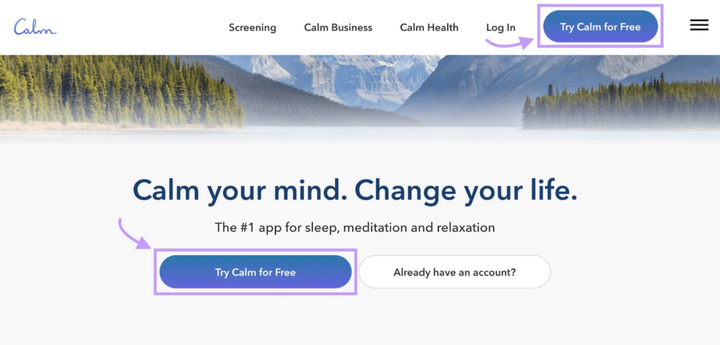 Emotion-driven UX/UI design using calming colors
