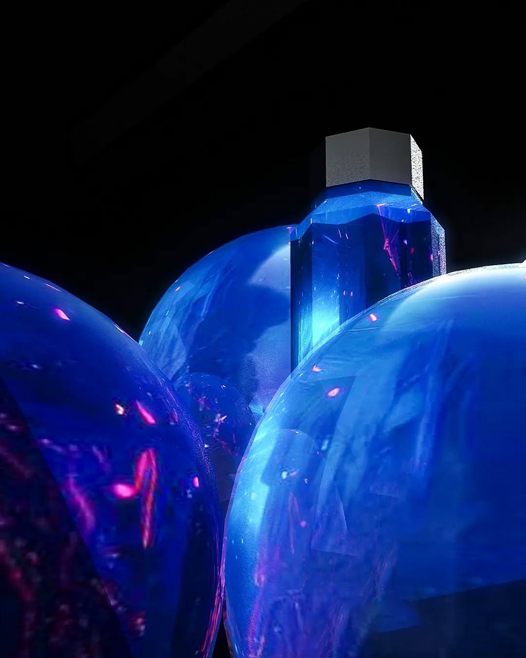 a woman holding a red flower