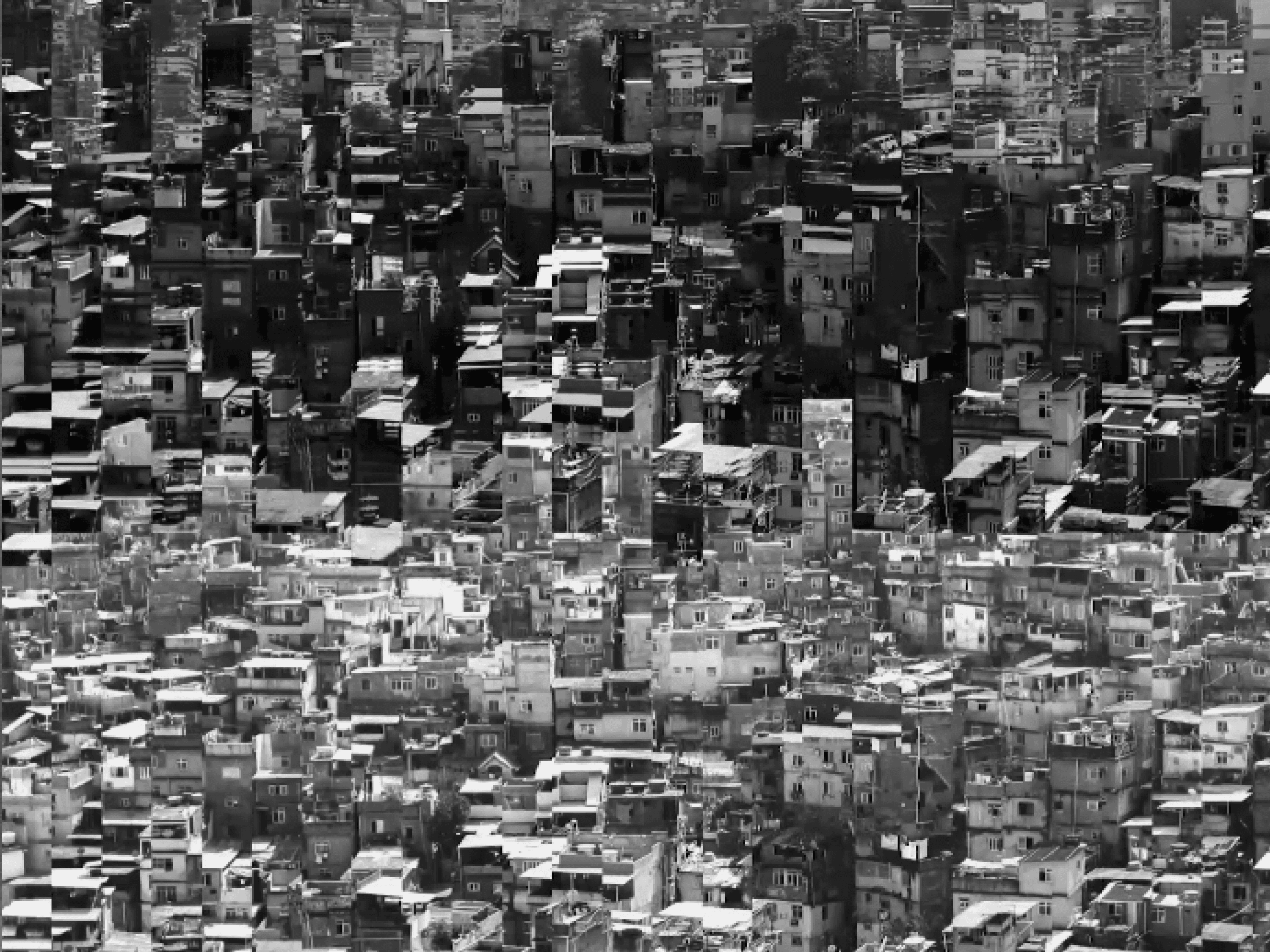 Website designed by @shakibali