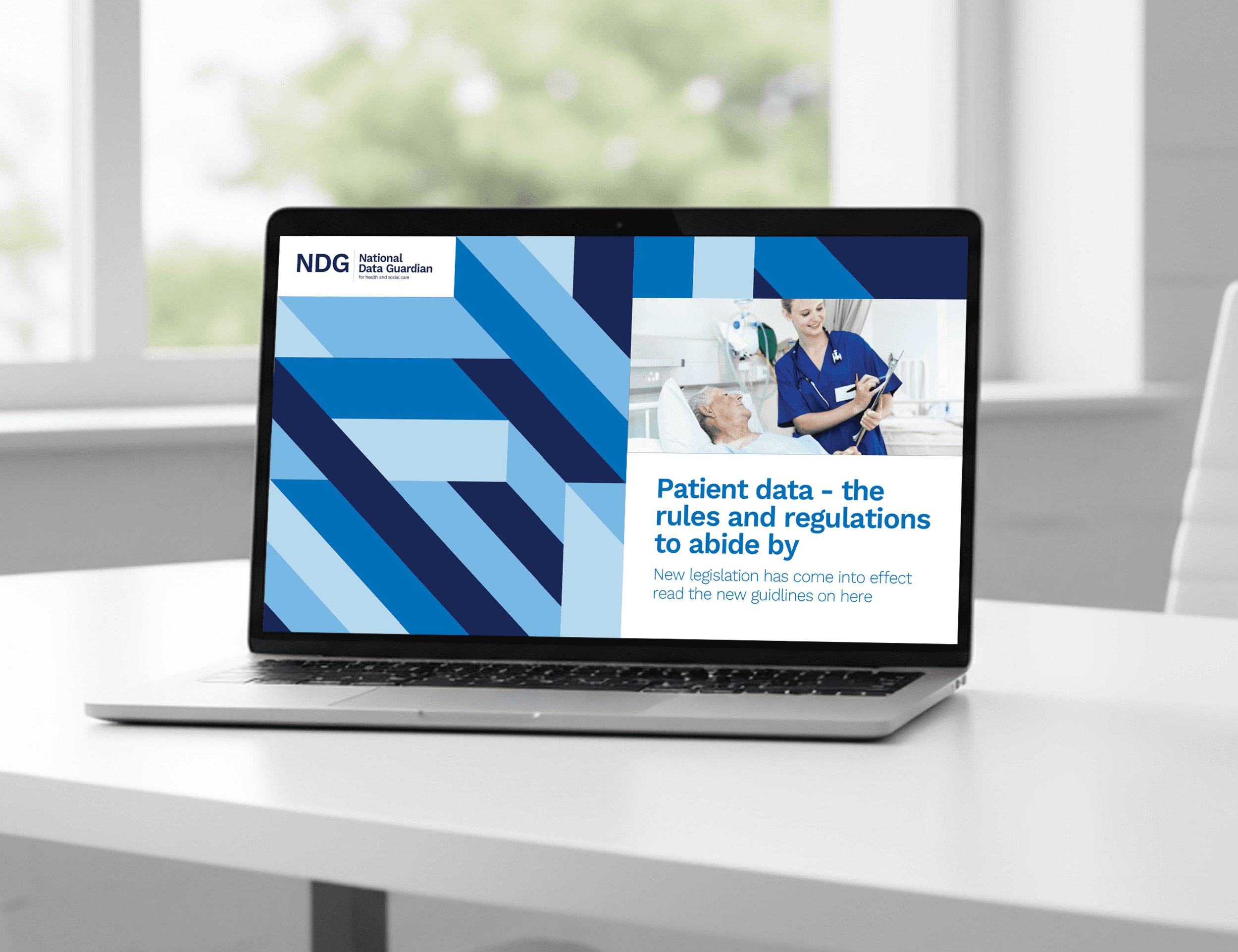 National Data Guardian Brand Identity Powerpoint Presentation