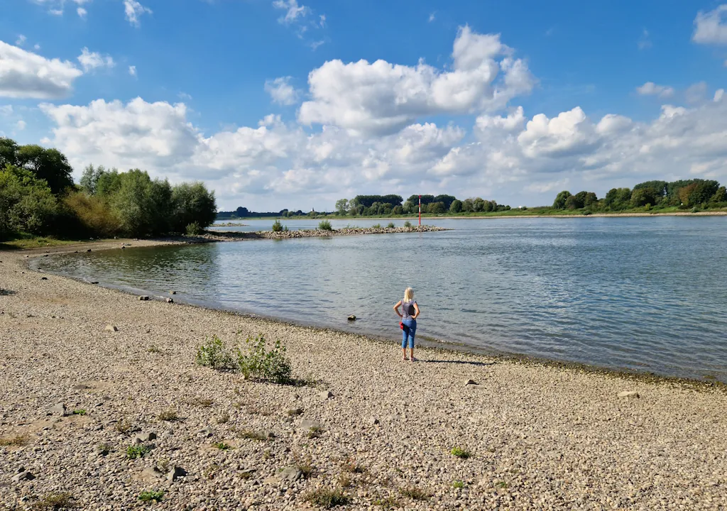 Rhein in Monheim