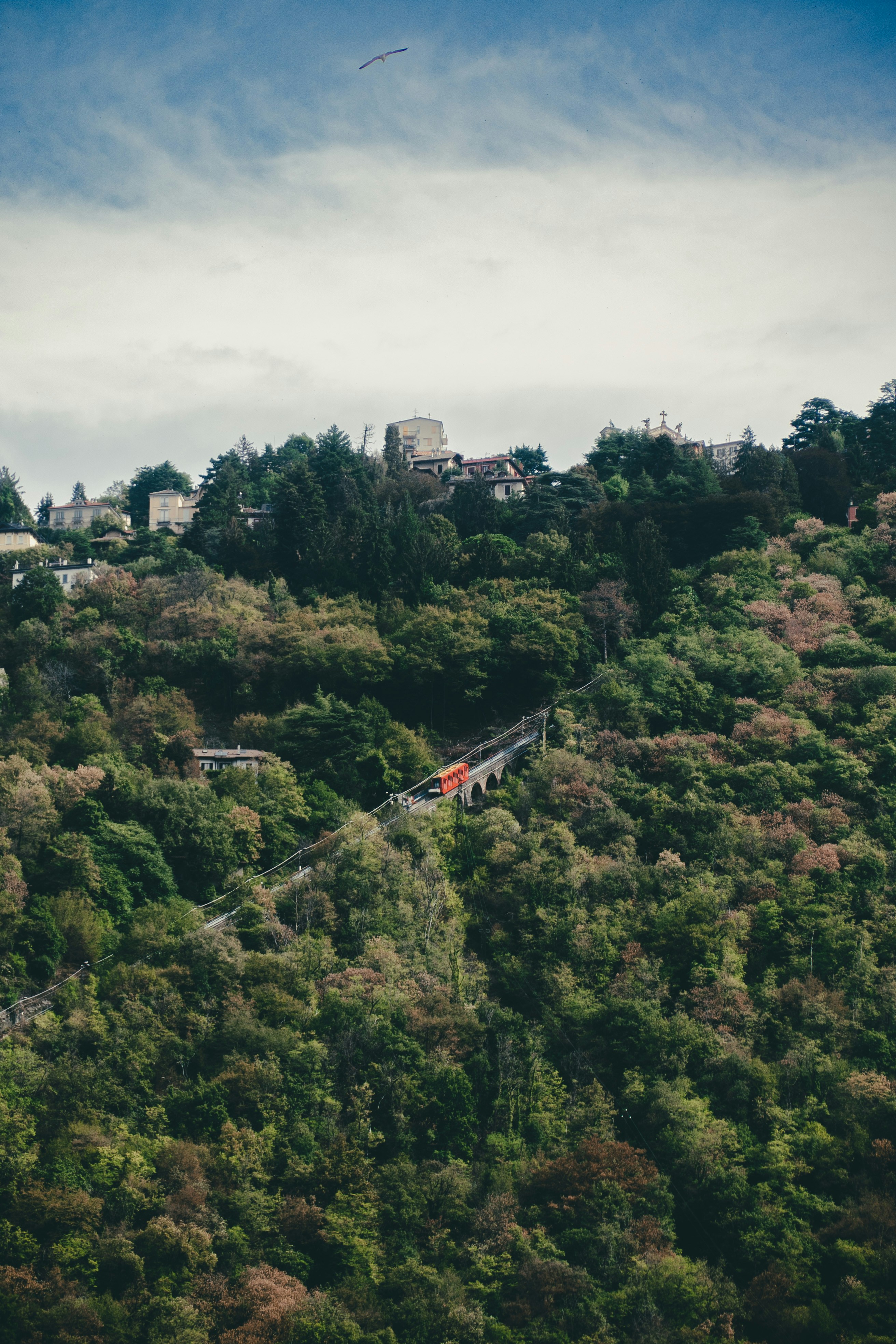 a train traveling through a lush green hillside