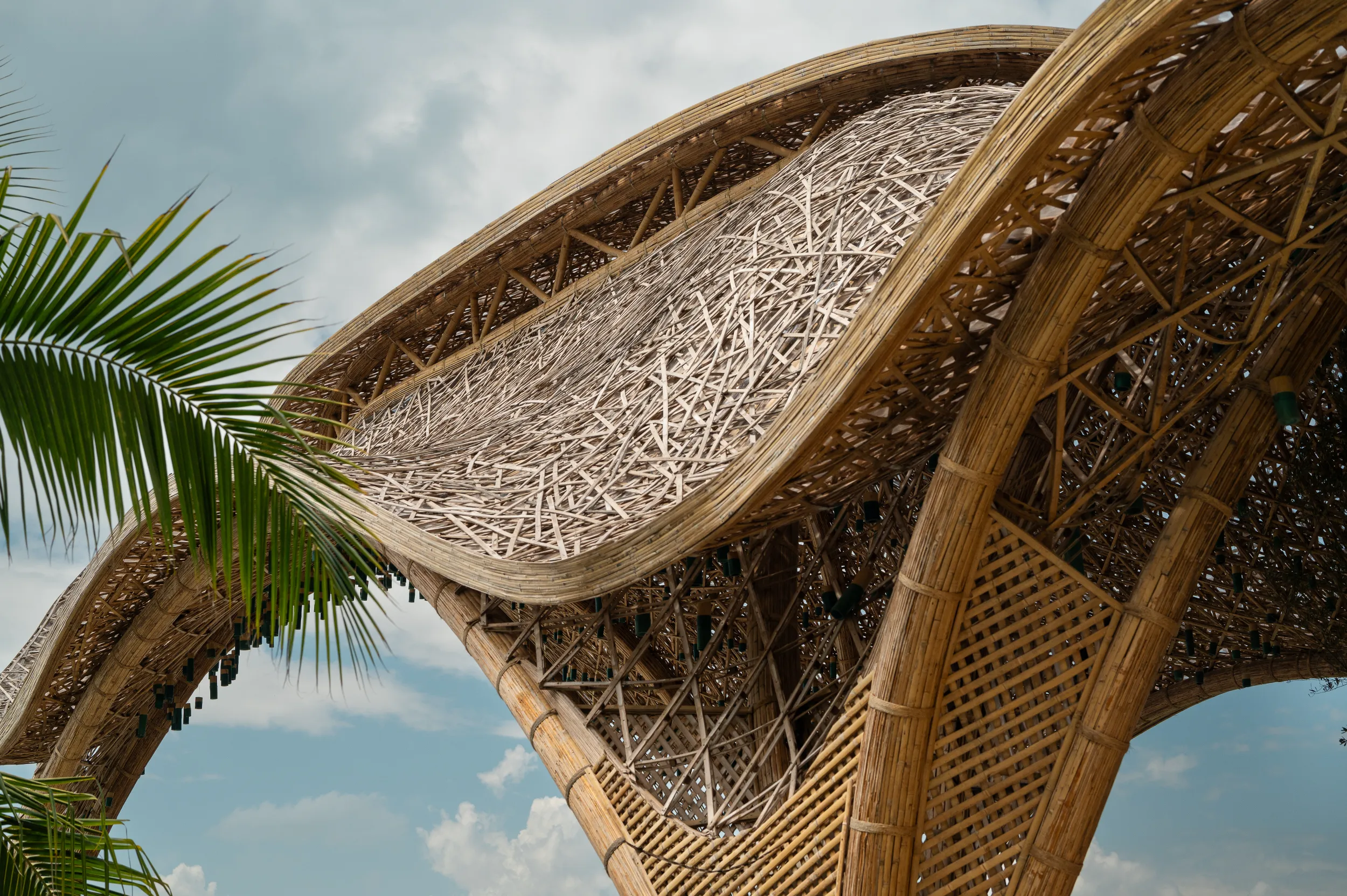 Close-up of the 12-meter-high bamboo catenary arches and intricate handcrafted weaving inspired by the Mexican Sea Slug (Cyphoma gibbosum).