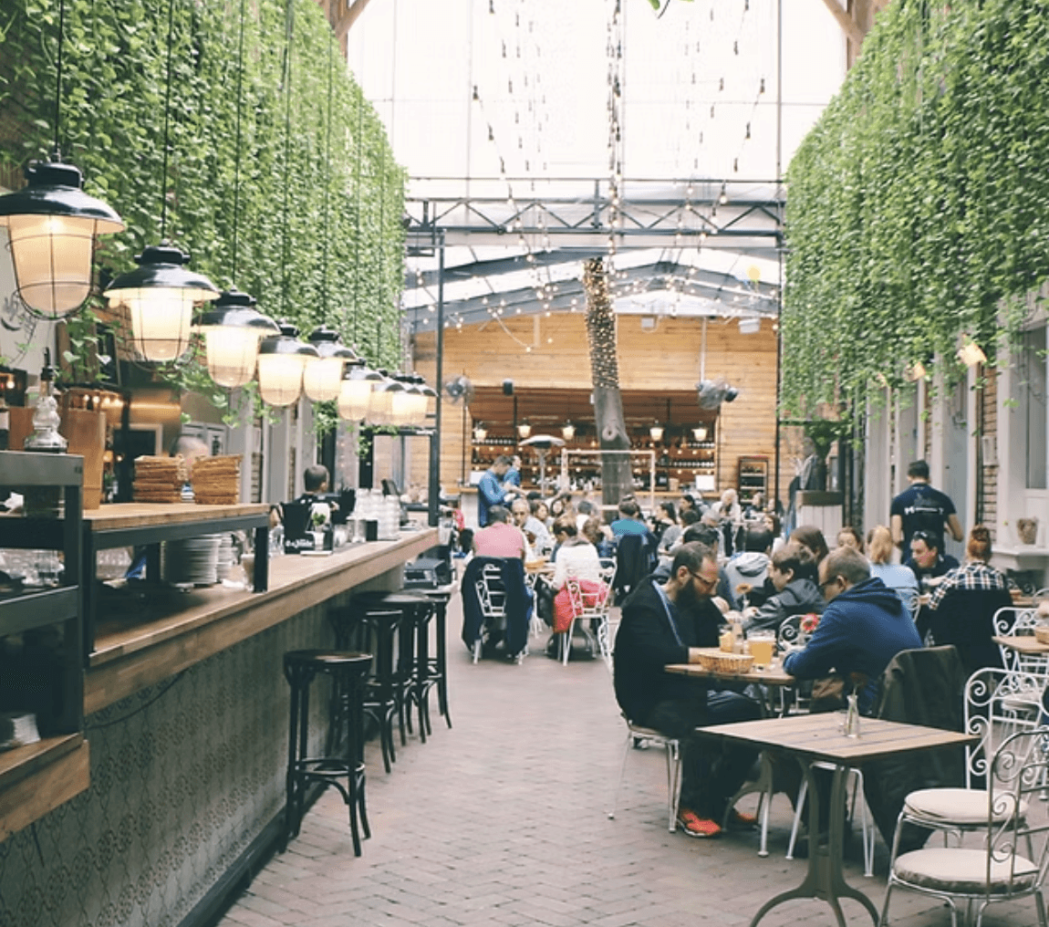 person holding black ipad with green plant