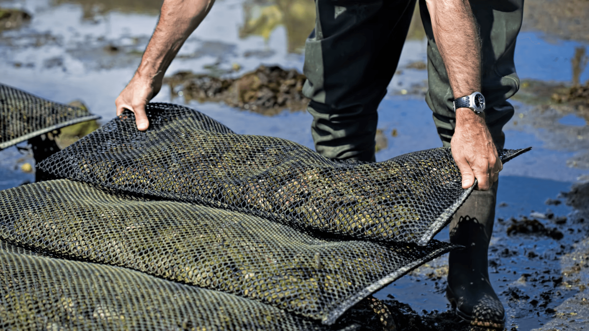 Understanding the New H-1B Process in 2026 — and the $100,000 Fee