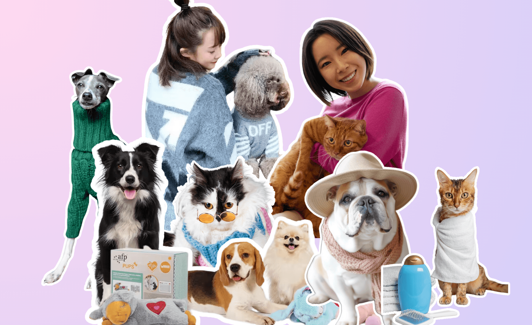 Pet-Brands-Looking-For-UGC-Creators 