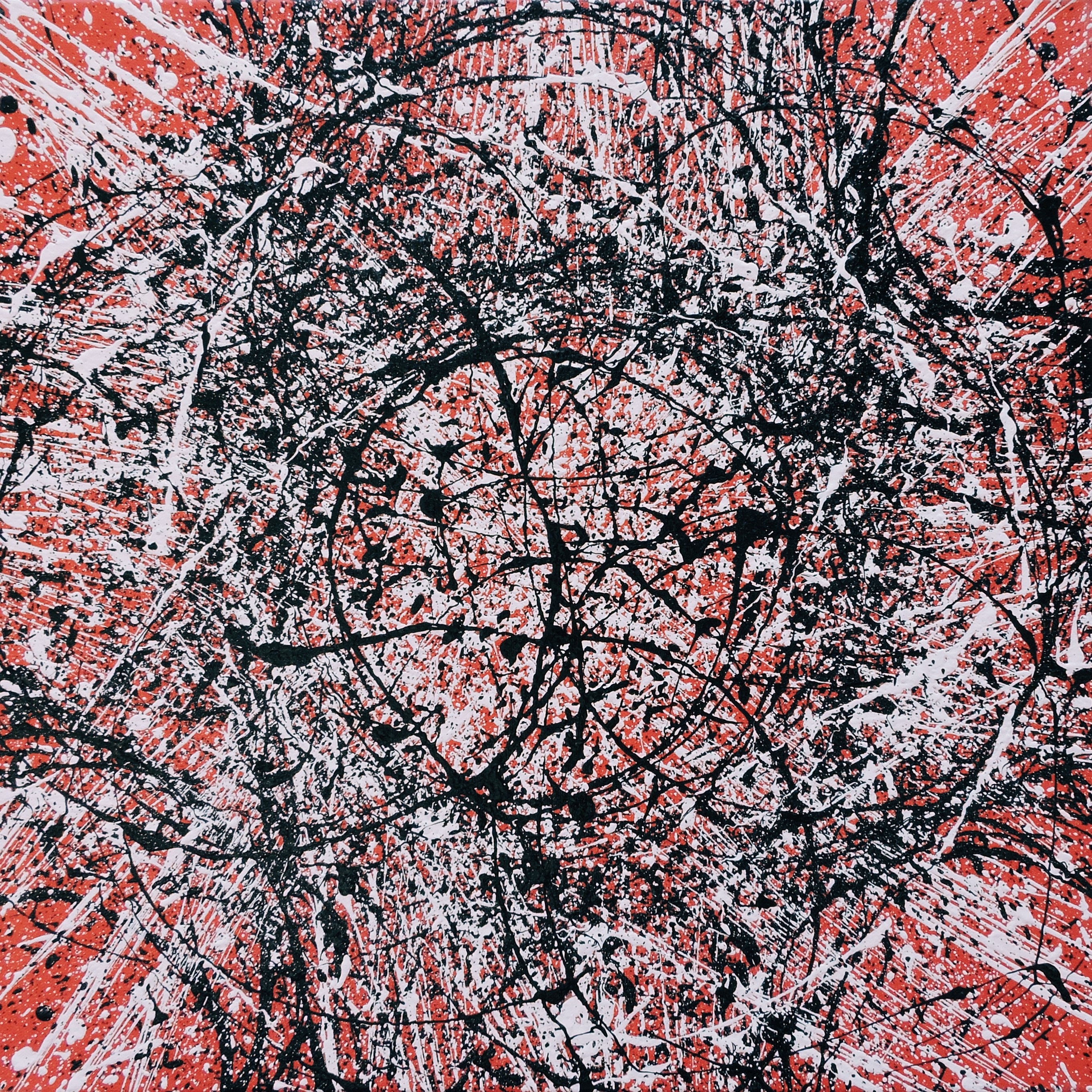 Red Spin