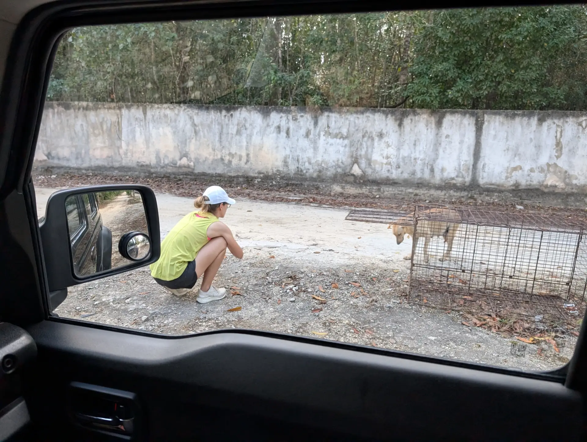 Dominique rescuing a pregnant stray dog