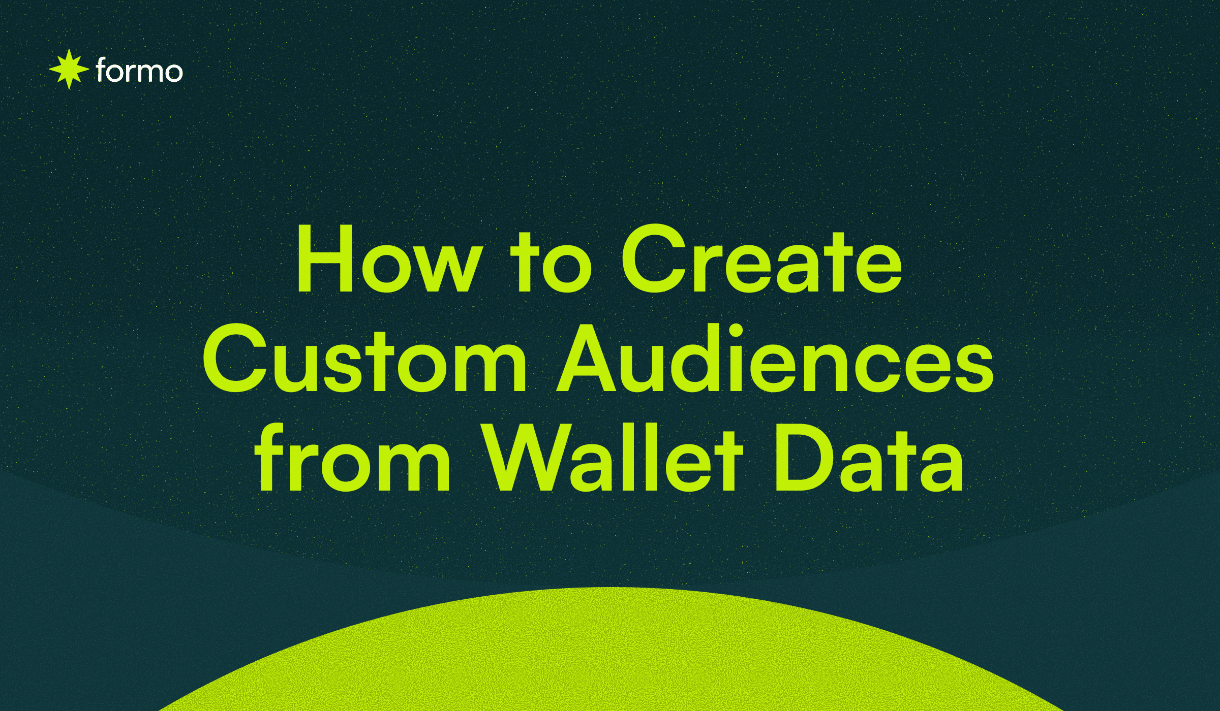 2025 Guide to Create Custom Audiences from Wallet Data