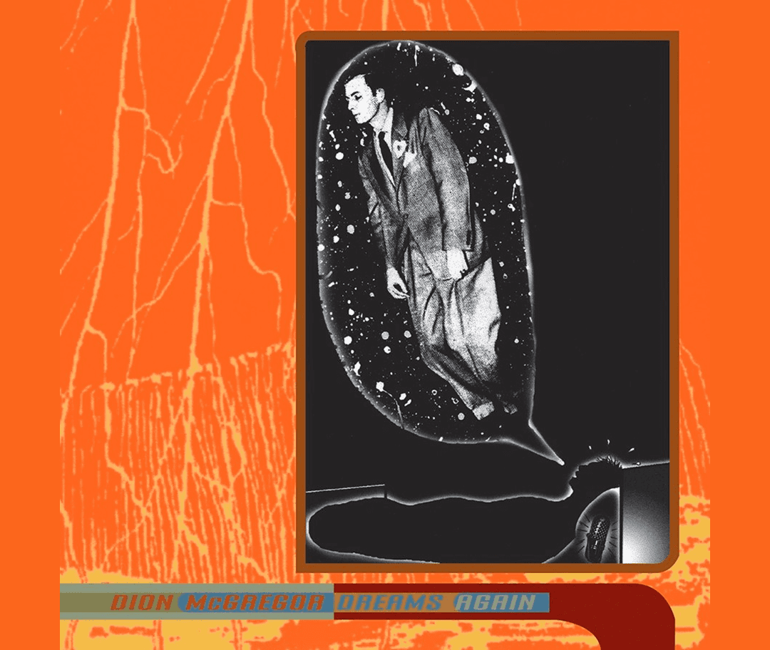 Silhouetted plants against a vibrant sunset