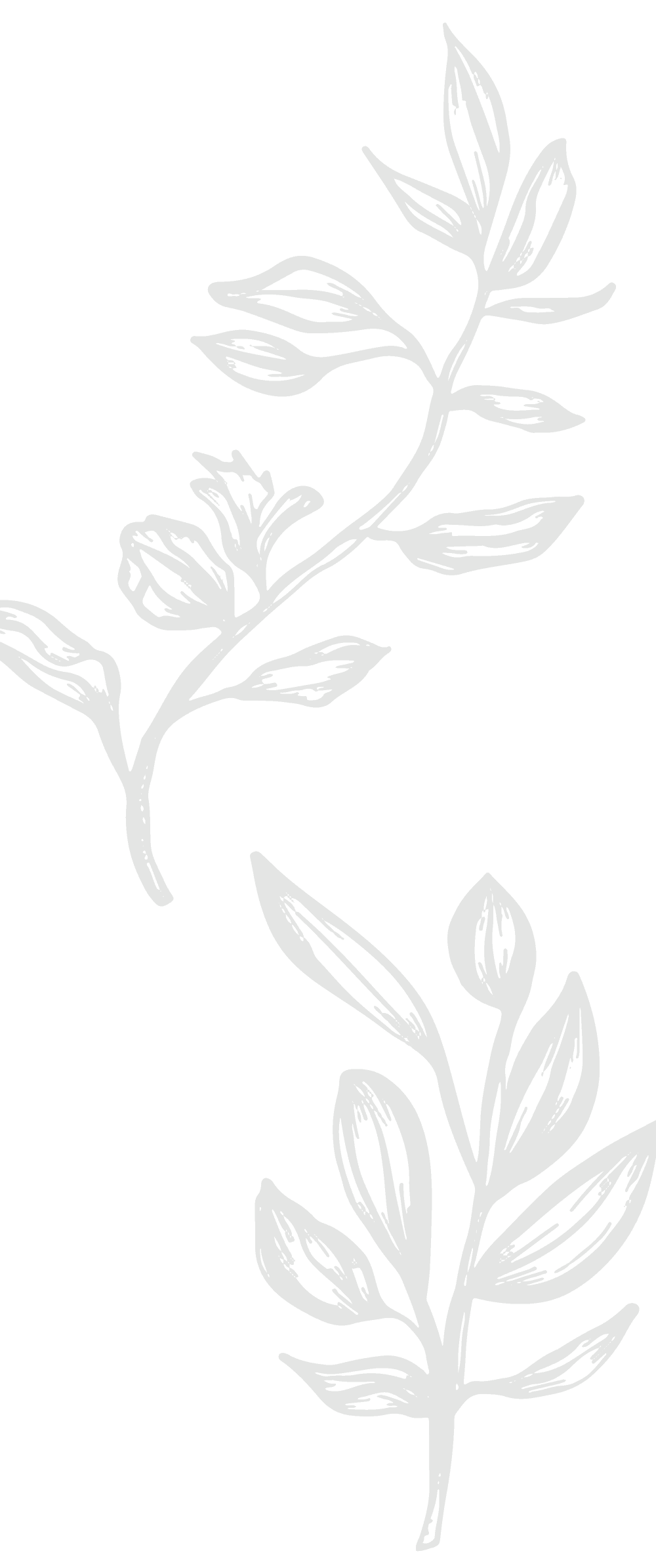 Background illustration of leaves