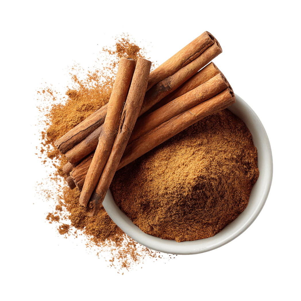 Ashwagandha Root Cross-Section