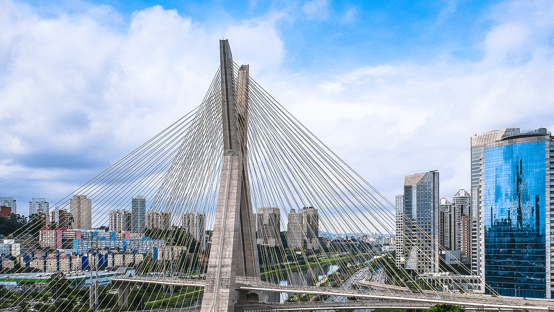 city with high-rise buildings viewing blue sea under blue and white skies
