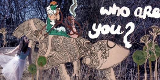 illustration, who are you?