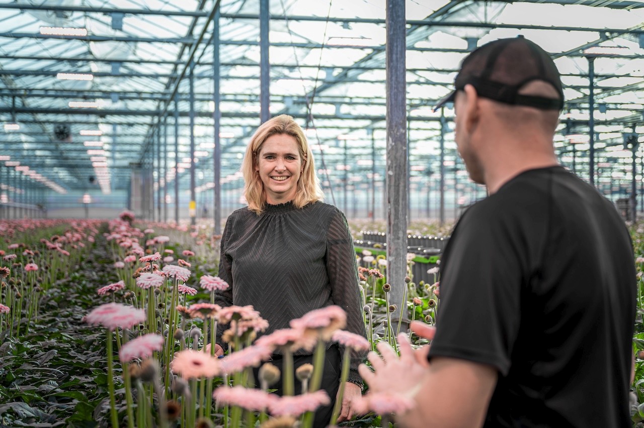 Jep! marketing project: BKV