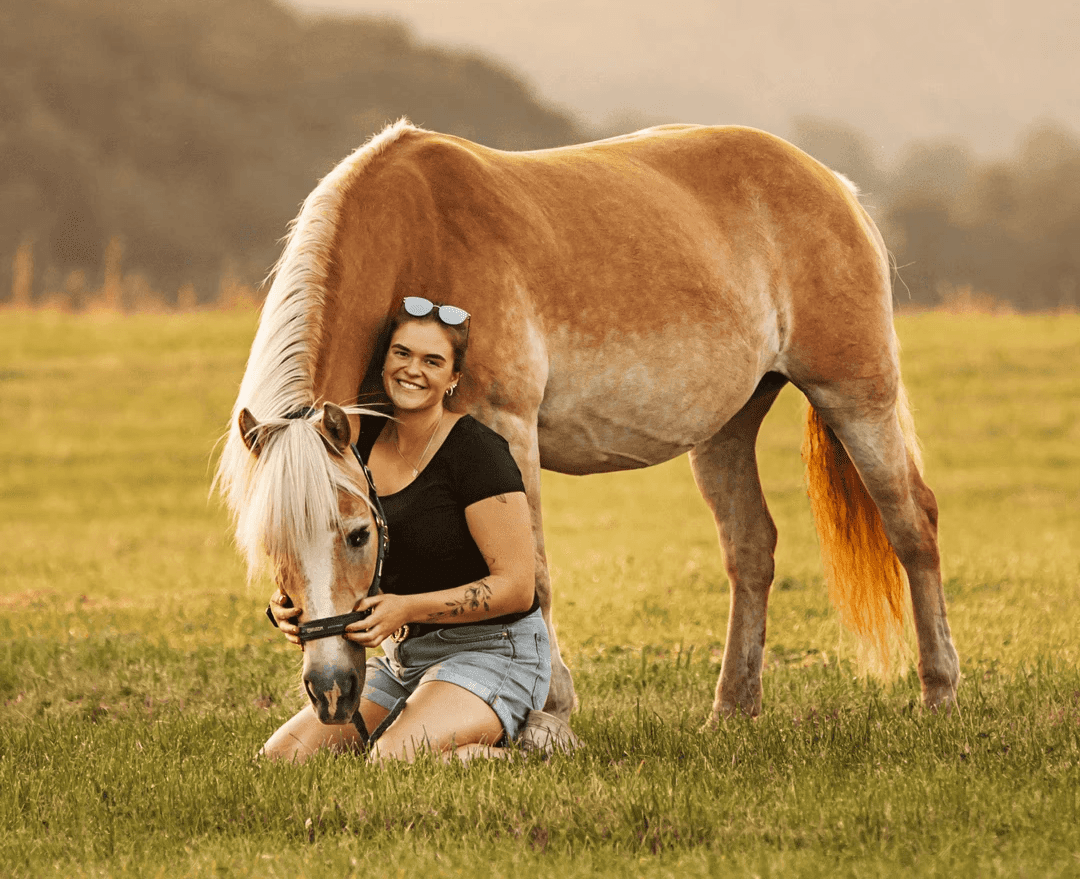 Pferdetransport in NRW Hessen und Rheinland Pfalz mit Mona