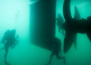 photography of two persons underwater