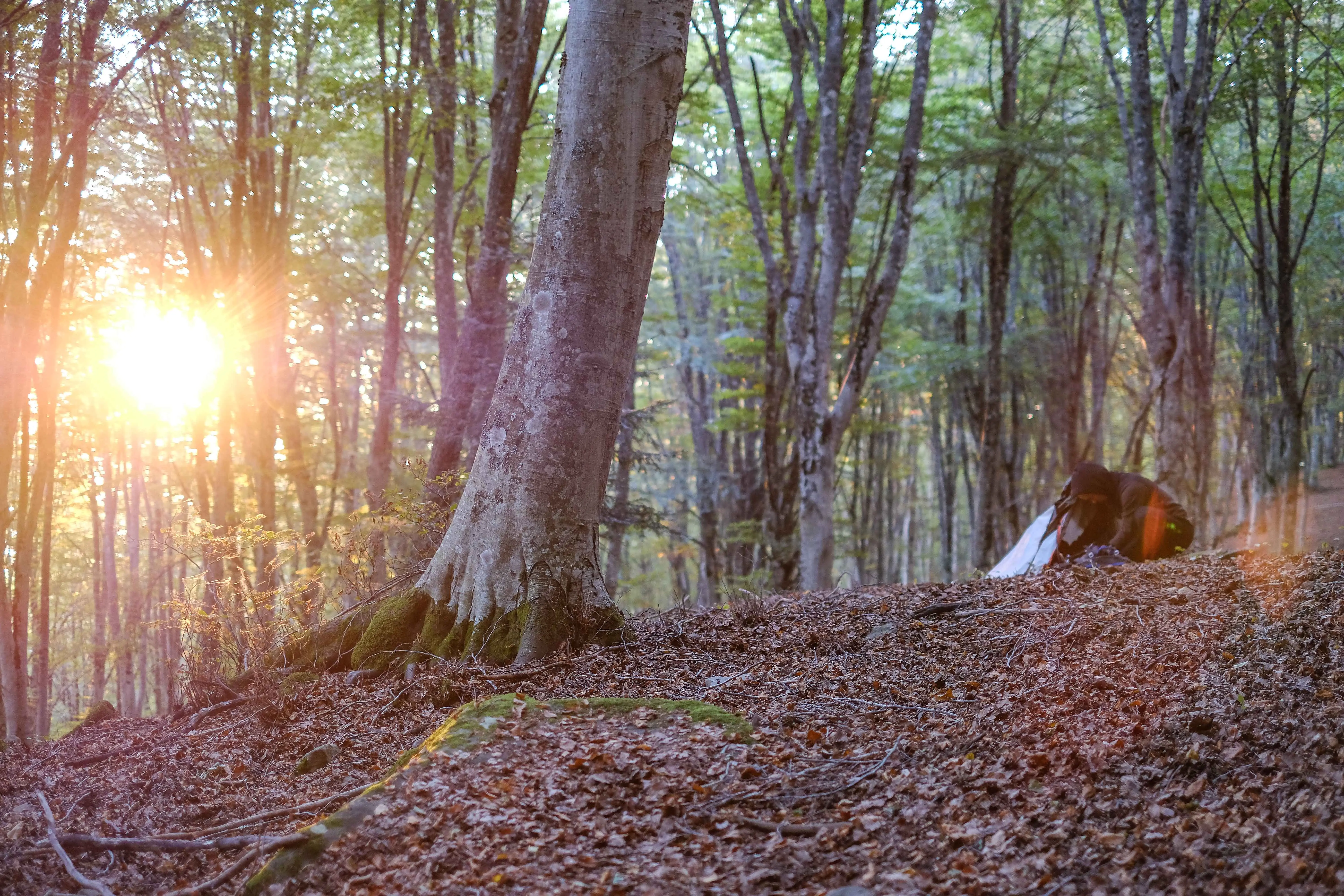 Andrea Modesti, istruttore di survival e bushcraft, esperto in campi avventura per ragazzi e corsi di sopravvivenza outdoor