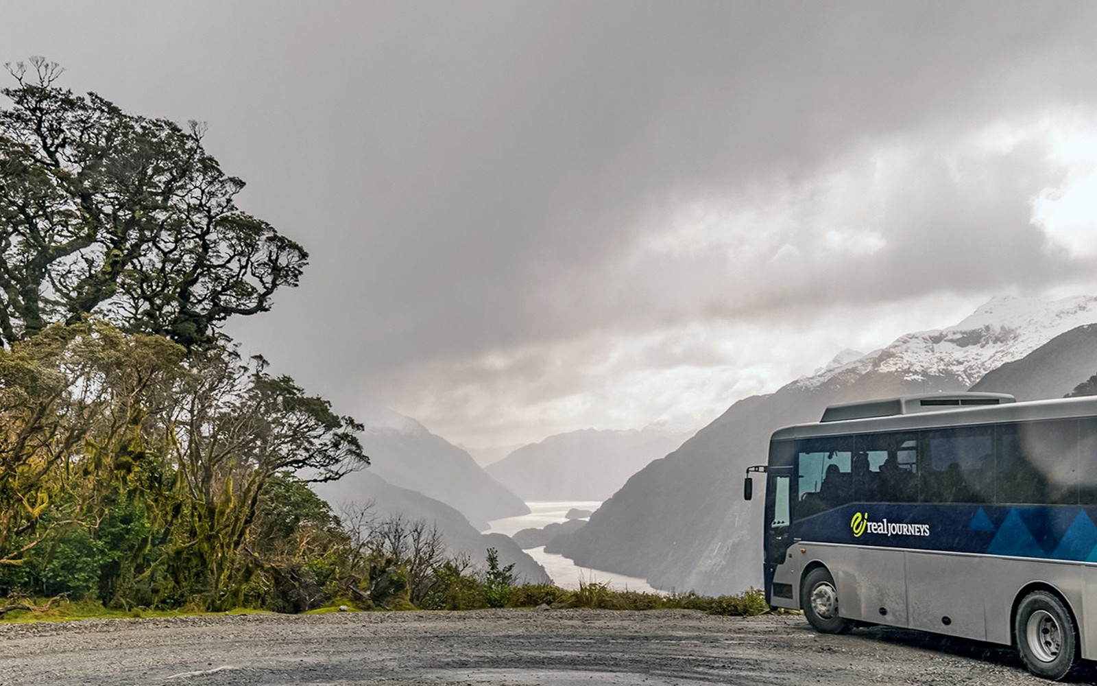 Kryssningsfartygsdäckutsikt över Doubtful Sound-fjorden, övernattningstur vid Te Anau.