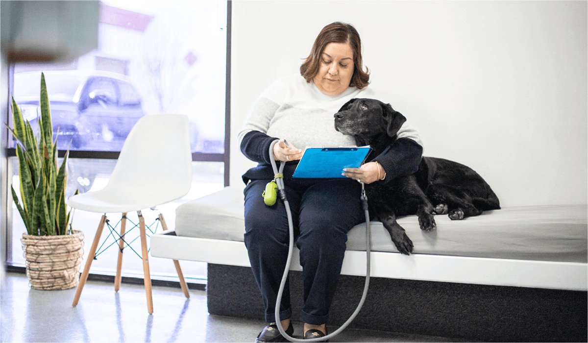 A lady sitting with her dog at the veterinary clinic.
