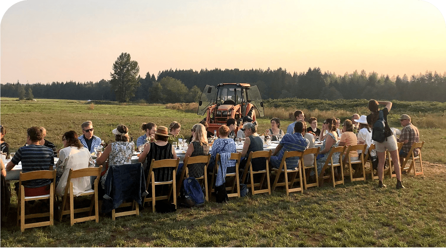 Rows of crops growing under protective covers on a working farm.