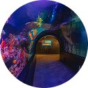 Oceanic Acquarium  - Motion Turismo