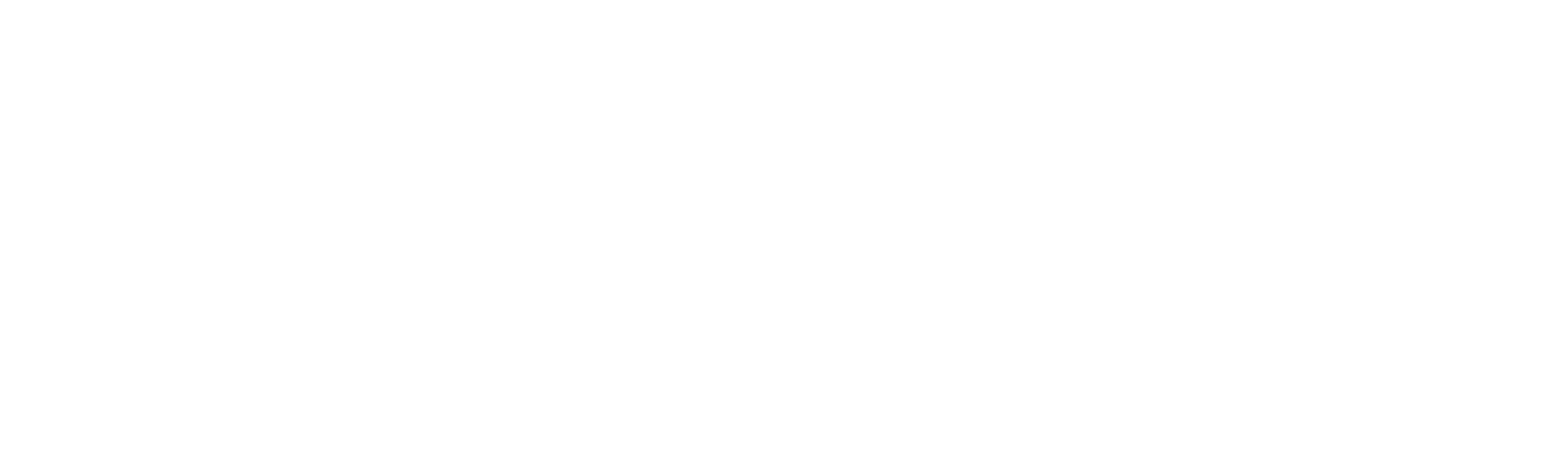 Robert Digital Partner